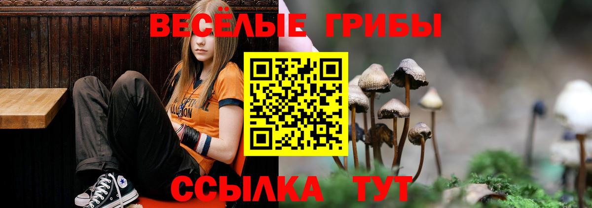 Галлюциногенные грибы GOLDEN TEACHER Уссурийск